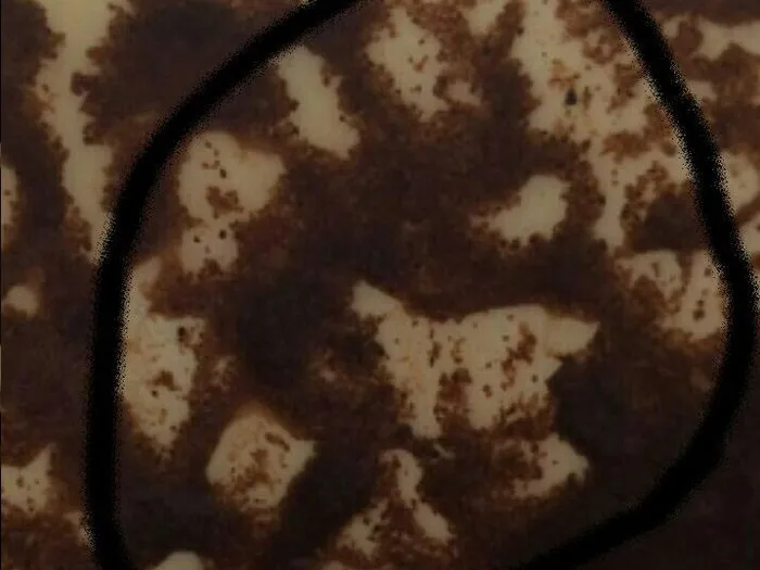 Запись на прием к гадалке в Тамбове